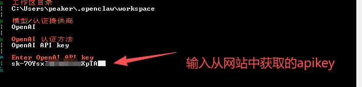向导 7