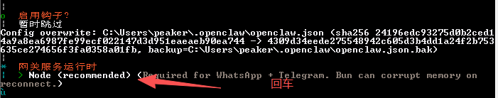 向导 17