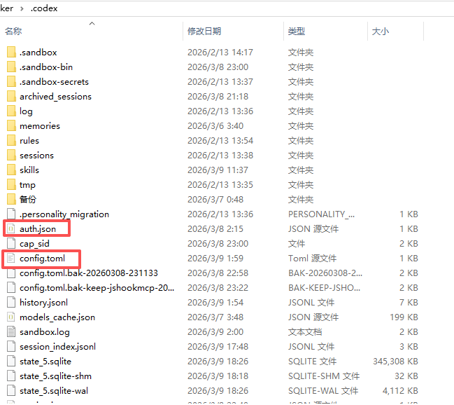 .codex 目录